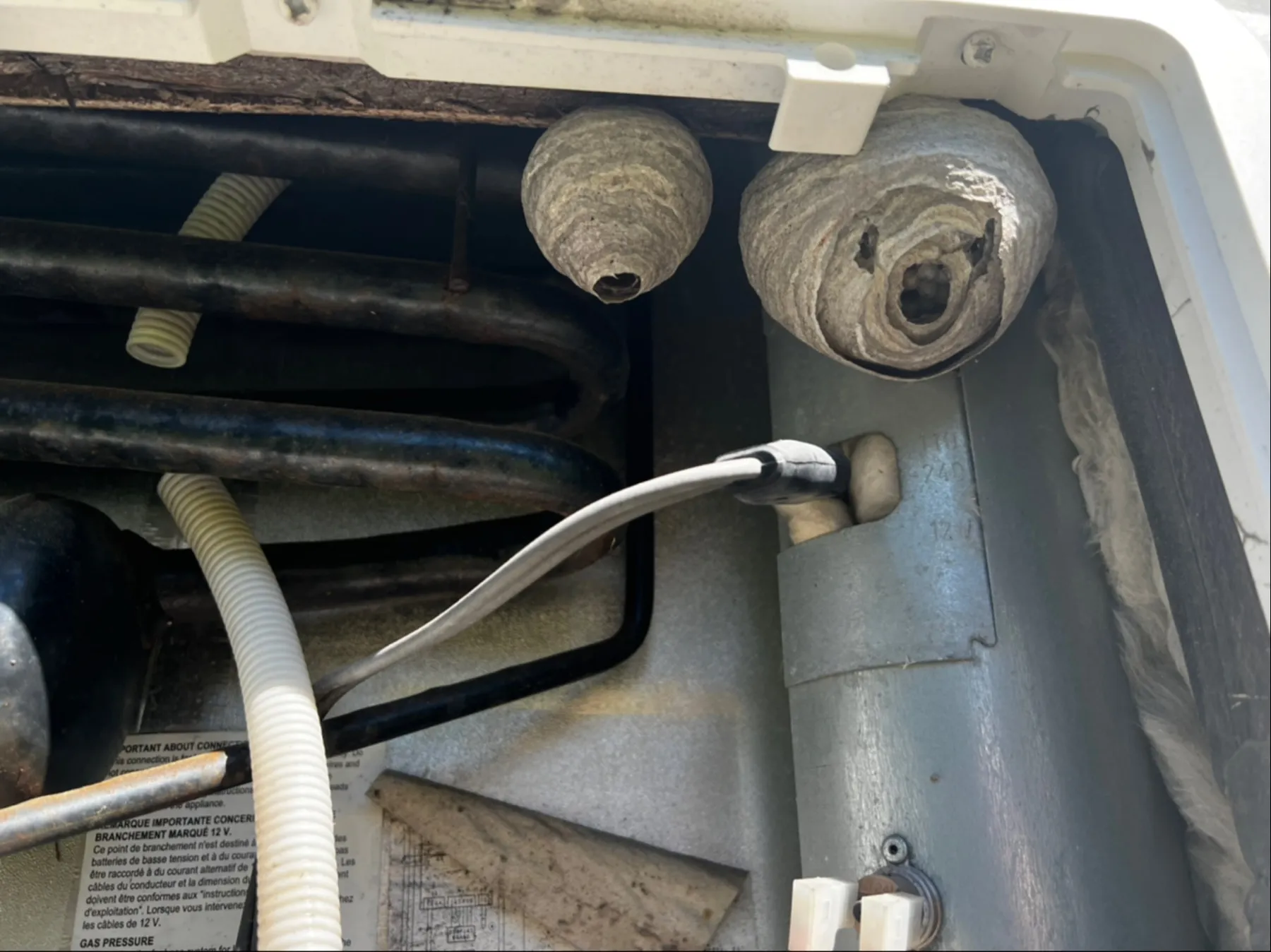 Wildlife & Raccoon Removal — work carried out by our team
